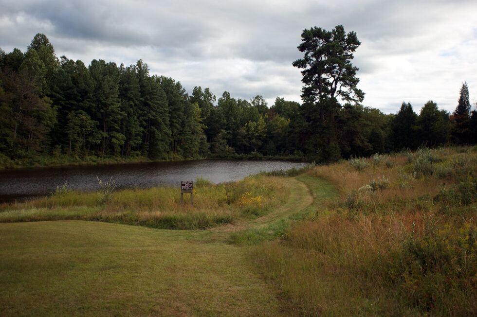C.F. Phelps Wildlife Management Area Visit Fauquier County, VA