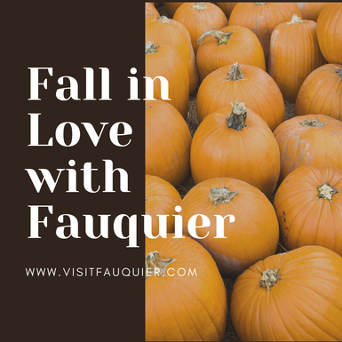 Sip, Stroll, and Be Spooked in Fauquier County This Fall