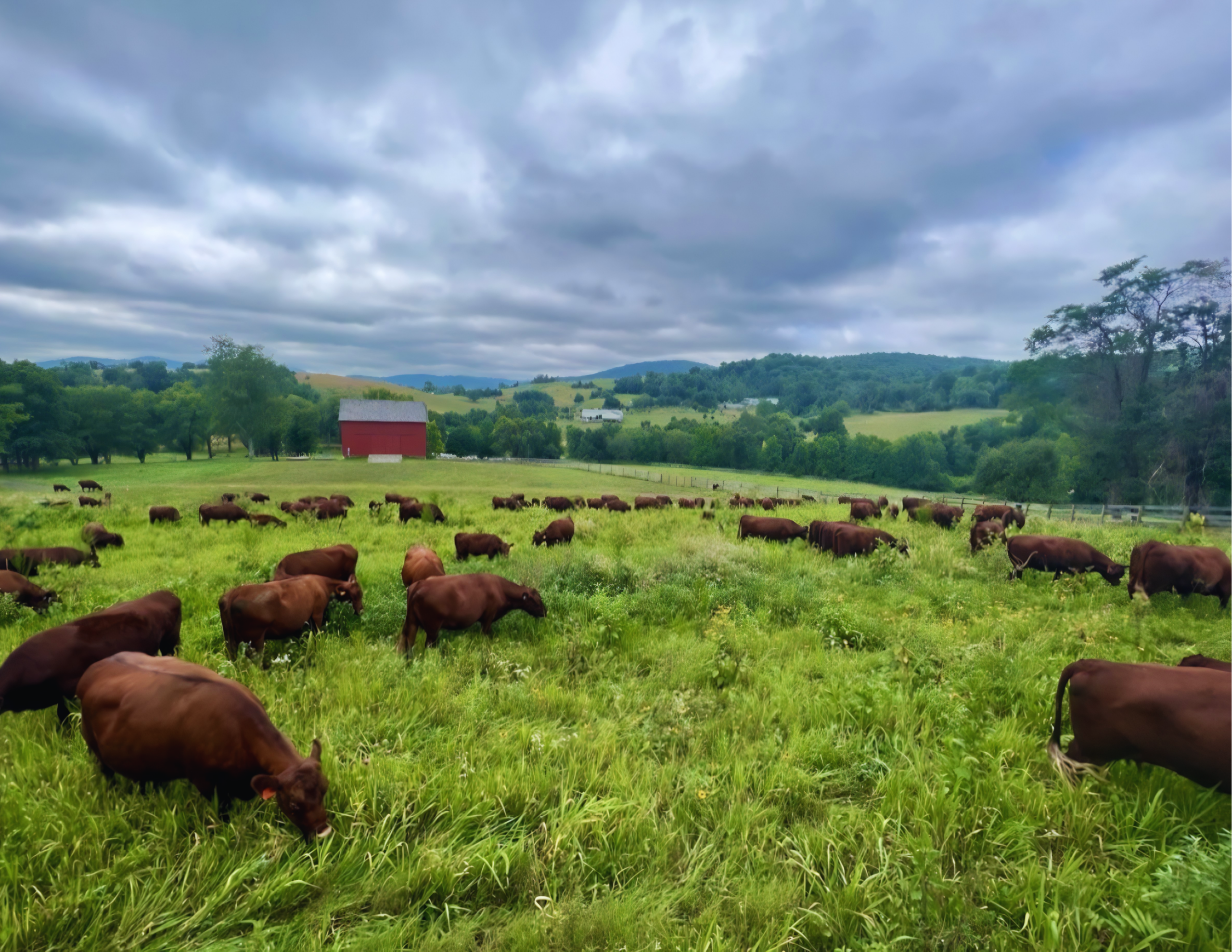 hidden creek farm